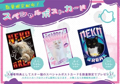 名古屋ギャラリー5周年を記念！スター猫オリジナルポストカードを限定配布