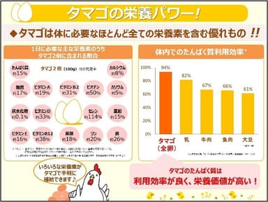 タマゴの栄養パワー！