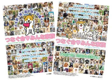 保護犬啓発ポスター