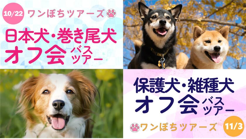 ワンちゃんが主役のペットツアー「ワンぽちツアーズ」　
房総マザー牧場などを巡る、犬種限定オフ会バスツアーの開催決定！
9月7日より予約受付開始