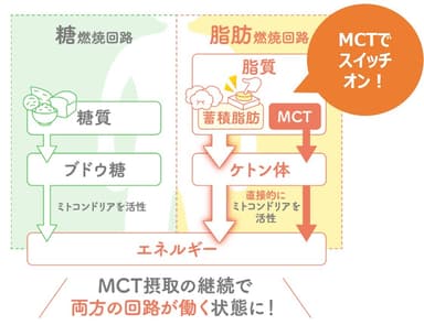 図解_燃焼回路