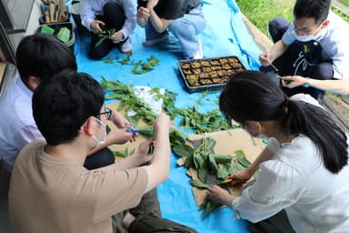 京都府立聾学校での挿し芽イベントの様子