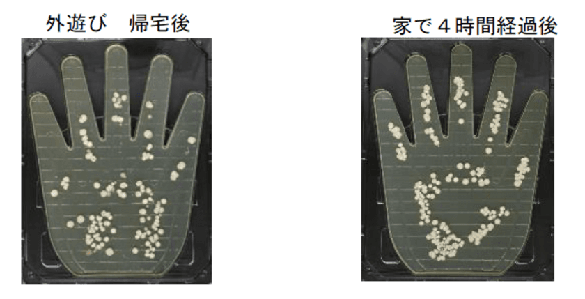 “家の中”で4時間過ごすだけで、
手の菌量は“屋外”で2時間遊んだ後に匹敵！
自宅内で知らないうちに手に付着する菌の増殖を
石けん成分配合のハンドソープによる手洗いで抑制！