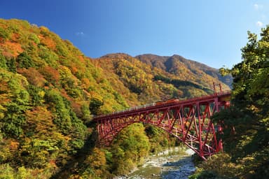 紅葉の新山彦橋