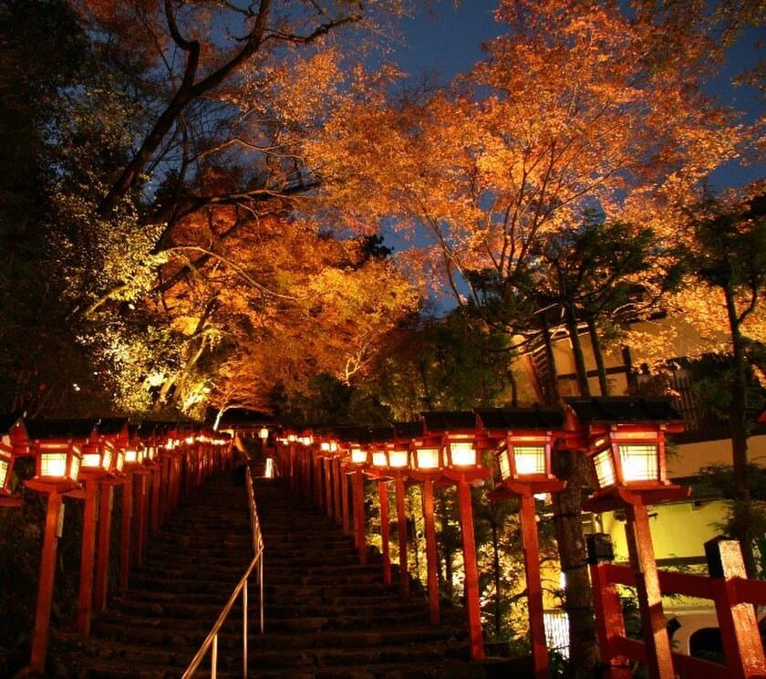 ～ 秋の夜空を彩る紅葉のライトアップ ～
11月5日（土）～27日（日）に
「京の奥座敷・貴船もみじ灯篭」 を開催します 