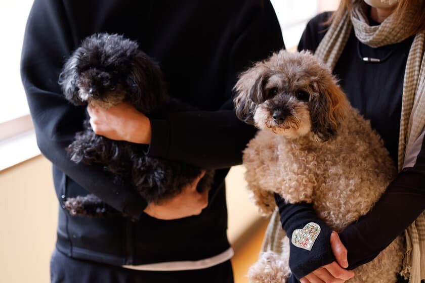 日本一の星空が降り注ぐ、長野県阿智村。
愛犬と泊まれる旅館＆大型ドームテントグランピング施設　
天然温泉 阿智 星降りの宿 やま星
【hotel＆glamp YAMABOSHI】　
ヘブンスそのはら「雲海Harbor」が10/6～11/8に開催　
10月から秋の味覚の王様・松茸を贅沢に使用した
囲炉裏会席秋冬限定メニューに！