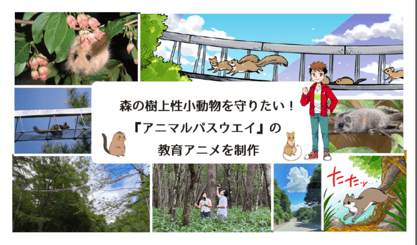 路上事故から野生動物を守る歩道橋　
啓発アニメ制作のためのクラウドファンディングを
10月17日から開始