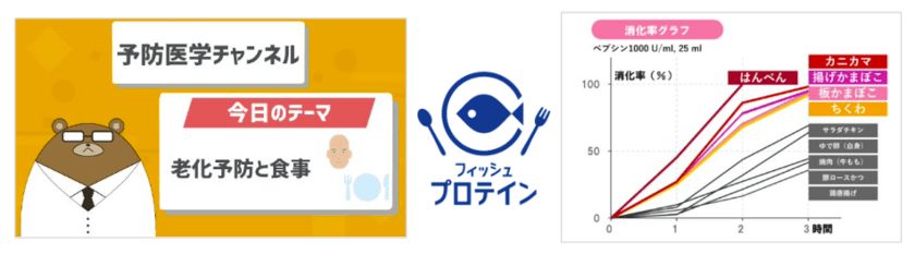 新事実！かまぼこは、老化を食い止める凄い食べ物だった！？
日本かまぼこ協会、YouTube「予防医学ch」とのコラボ動画で、
魚肉ねり製品(フィッシュプロテイン)の健康効果を情報発信