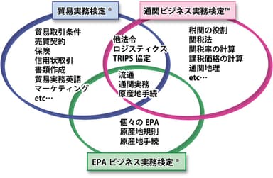 通ビジと他検定試験との違い