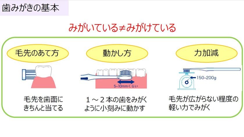 オーラルケア社内研修プログラムを実施　
当社新入社員の約7割以上が1日3回歯みがき、
フロス・洗口剤使用が習慣化