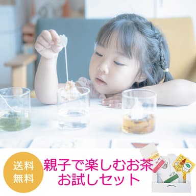 親子で楽しむお茶お試しセット