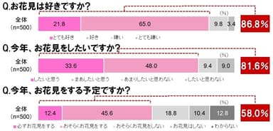 お花見は好きですか？/今年、お花見をしたいですか？/今年、お花見をする予定ですか？