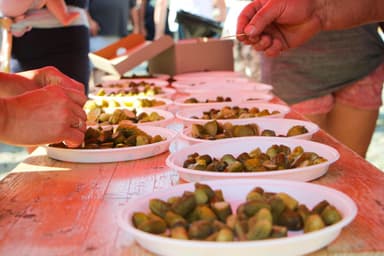 キュウリの祭典(写真：Znojemska Beseda)