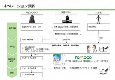 実証のオペレーション概要