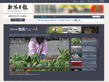 「新潟日報netpark」動画ニュースページ