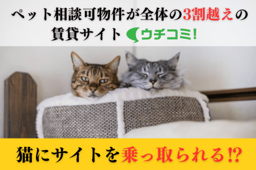 ペット相談可物件が全体の3割越えの賃貸サイト「ウチコミ！」
　“猫の日”の認知を広げるための企画を実施