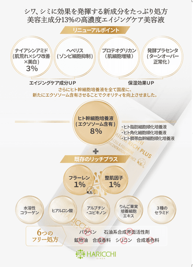 リーフレット裏面