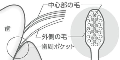 図1：付替システマ