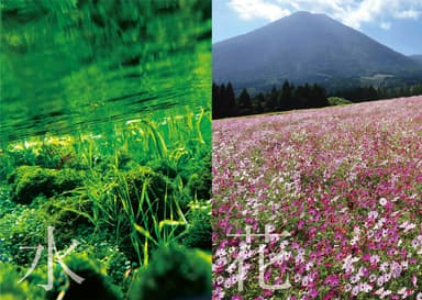 小林市の「水」と「花」