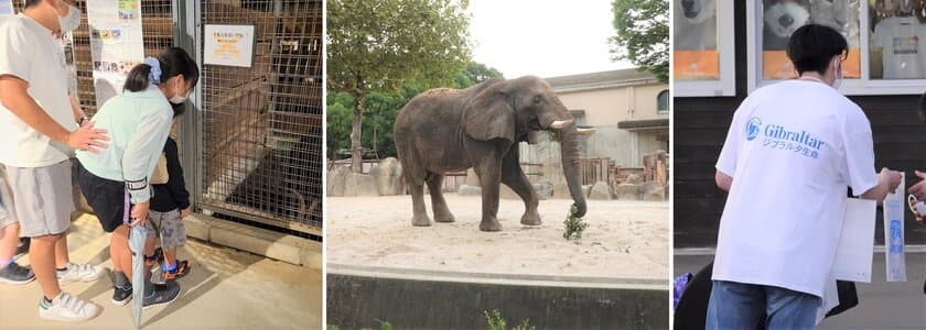 ジブラルタ生命、「ドリームナイト・アット・ザ・ズー」の
開催動物園・水族館を2023年もサポート