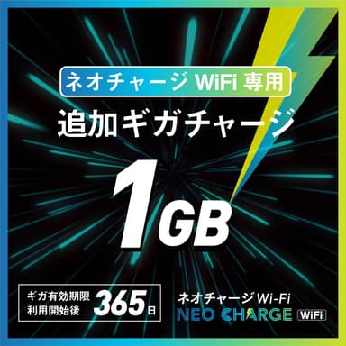 追加1GB