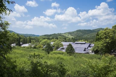 寿長生の郷の里山