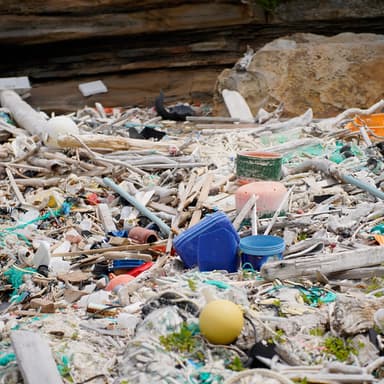 海岸に流れ着く海洋プラスチックごみ