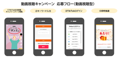 動画視聴キャンペーン応募フロー