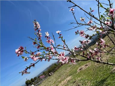 鹿児島県・湧水町