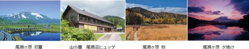 阪急交通社 国内ハイキング・登山の旅 好調
コロナ前の1.8倍
尾瀬に40時間滞在する旅や登山学校シリーズが人気