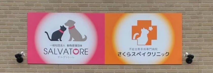 のら猫不妊去勢手術専門病院が滋賀県草津市にオープン　
猫手術を無料で実施するためのコミュニティも開設！