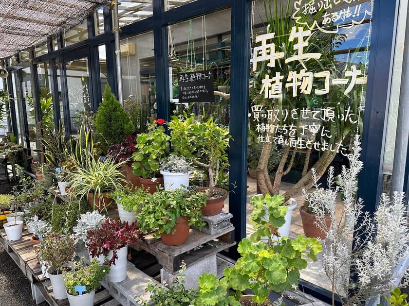 厚木から日本初！持続可能な循環型園芸店「らくうぇる」
温暖化問題、高齢化の波、問題だらけのこの世界、
枯れ木に花を咲かせよう「花咲か爺さん」サービス開始！