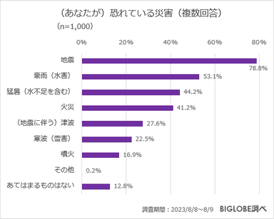 (あなたが)恐れている災害