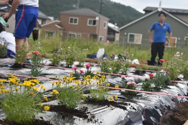 植栽後の花壇