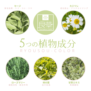 【5つの植物成分良草カラー】