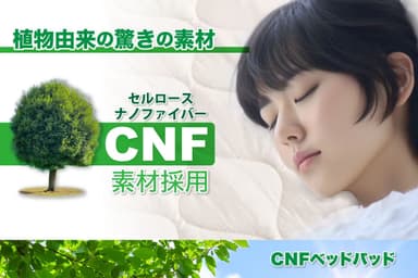 CNF1