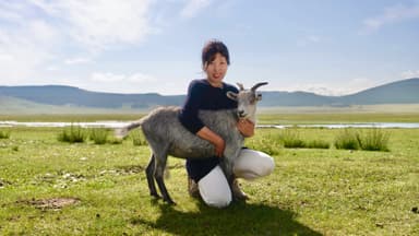 小野田とカシミヤヤギ