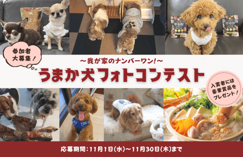 “博多華味鳥水たきセット”など豪華賞品をゲットしよう！
「うまか犬フォトコンテスト」を11月1日からInstagramで開催！