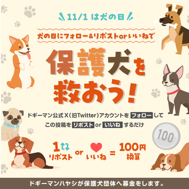 【ドギーマンハヤシ】2023年保護犬を救おうキャンペーン