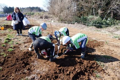 小学生以下のチーム構成「ちびっこ部門」