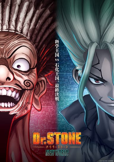 TVアニメ『Dr.STONE NEW WORLD』