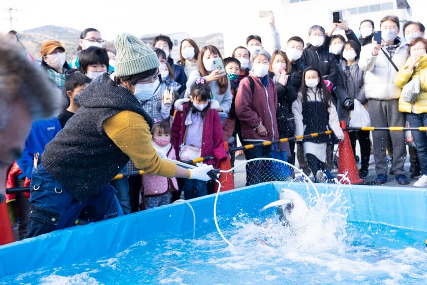 「第30回伊東温泉めちゃくちゃ市」1/27・28に静岡県で開催！
～伊豆半島の特産品を“めちゃくちゃ市”特別価格で買える～