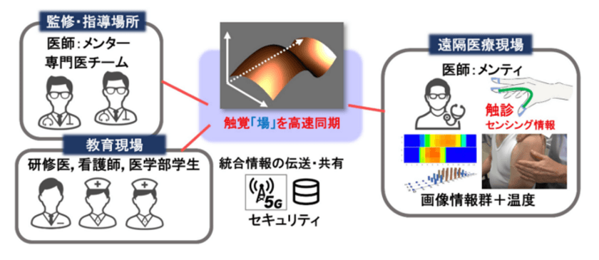 北海道内の中核病院群を結んだ5G遠隔視触診実験に成功