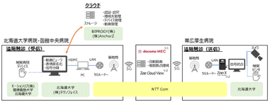 函館・帯広・札幌3拠点遠隔触診実験の構成