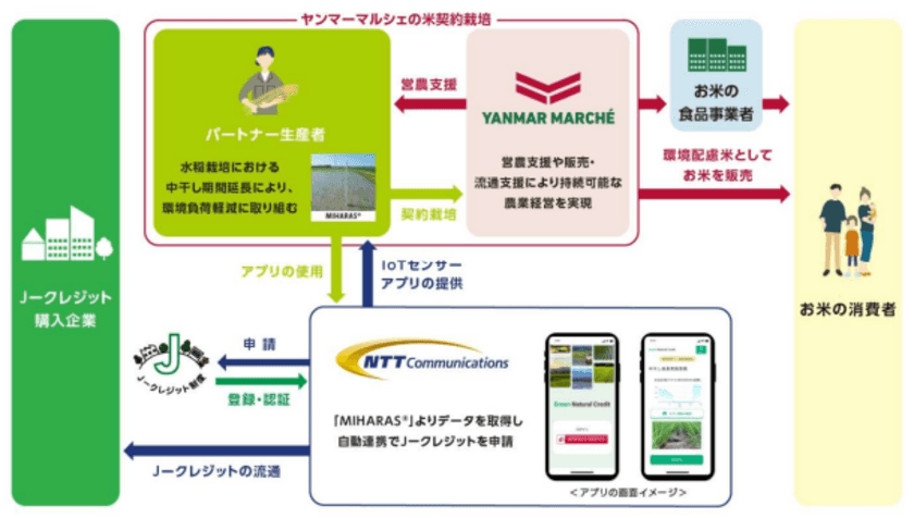 ヤンマーマルシェと NTT Com、「水稲栽培における中干し期間延長の
方法論」により J―クレジットを創出、NTT Com が販売を開始