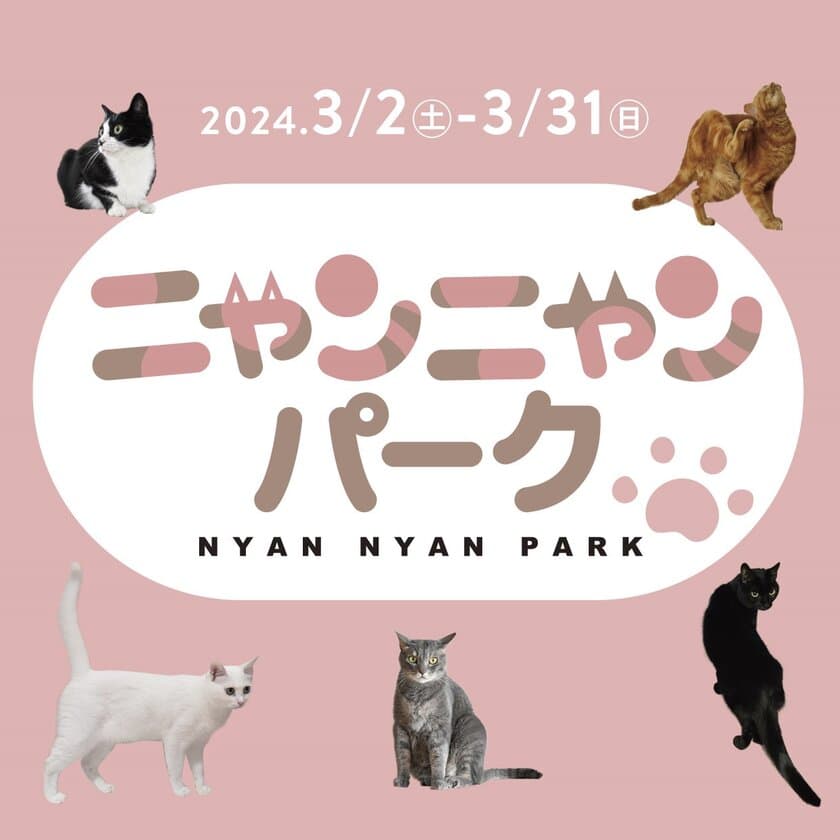 かわいい猫ちゃんたちと触れ合えるイベント「ニャンニャンパーク」
in　MARK IS　みなとみらい5F　特設会場　開催決定！