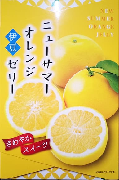 伊豆伊東高校「伊豆ニューサマーオレンジゼリー大」