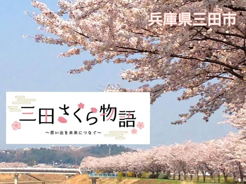 兵庫県三田市「三田さくら物語」プロジェクト　
『さんだ桜まつり2024』令和6年3月30日に開催！
実施中のクラウドファンディングも3月31日まで寄附を受付