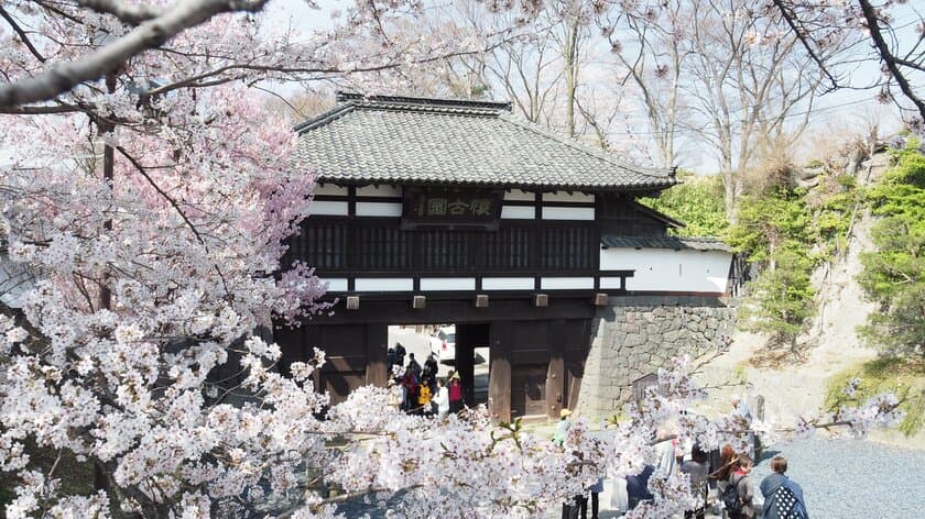 2024年の春を楽しむためのお店やイベントが盛り沢山！
軽井沢通が通う春の長野県小諸市