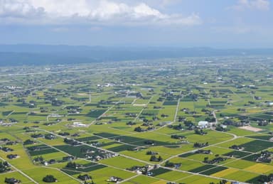 富山県砺波平野の散居村